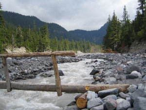 Footbridge over Nisqually River